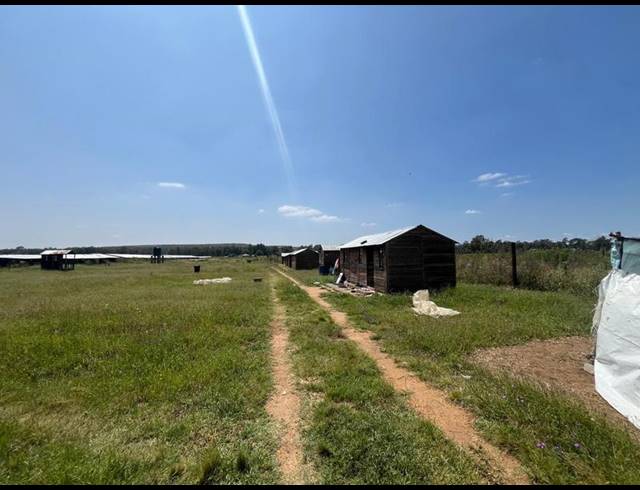 FARM FOR SALE IN WALKERVILLE CENTRAL